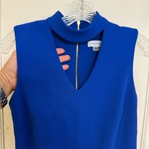NOT FOR SALE !!!Calvin Klein Knee Length Dress beautiful Choker